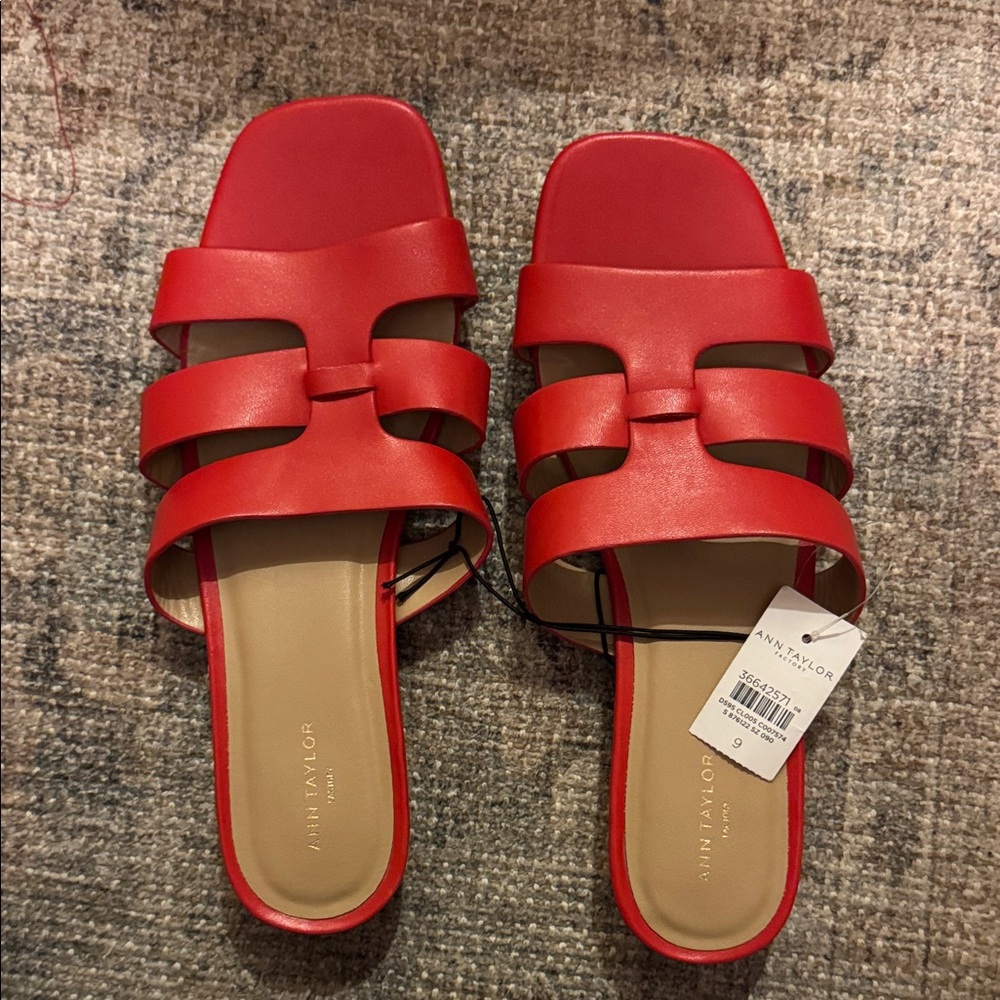 Ann Taylor Vibrant Red Slide Sandals